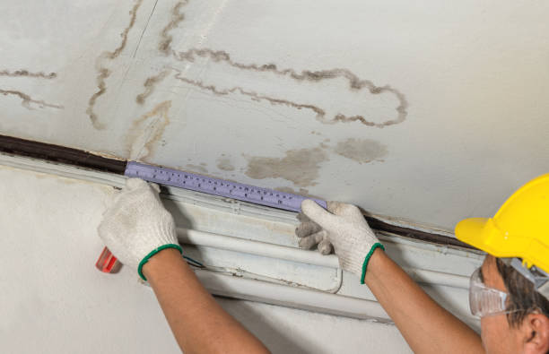 Reliable Burst Pipe Cleanup contractor in Lewistown, OH by Water Damage Irwin